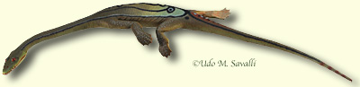 Keichousaurus Model