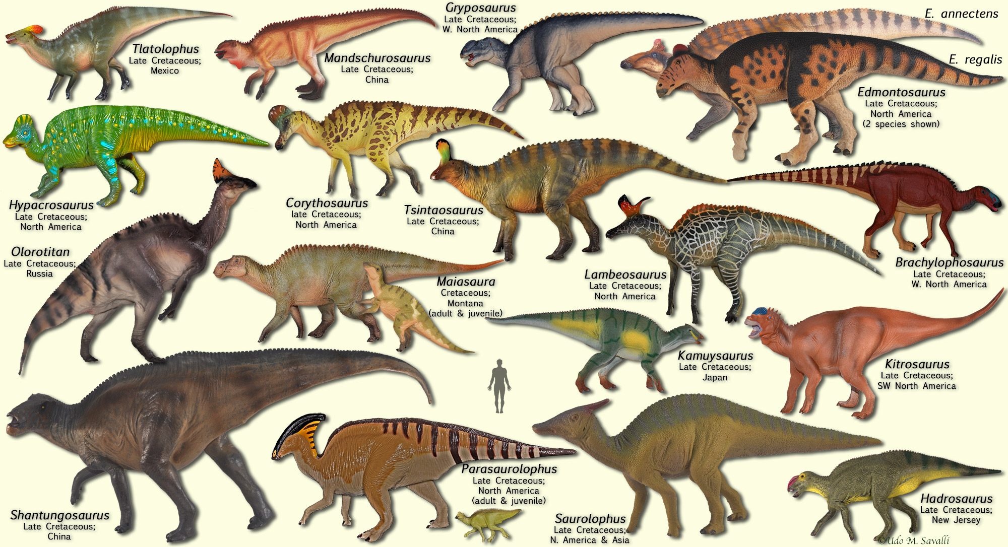 omnivore dinosaurs