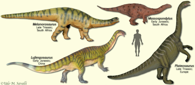 Prosauropods