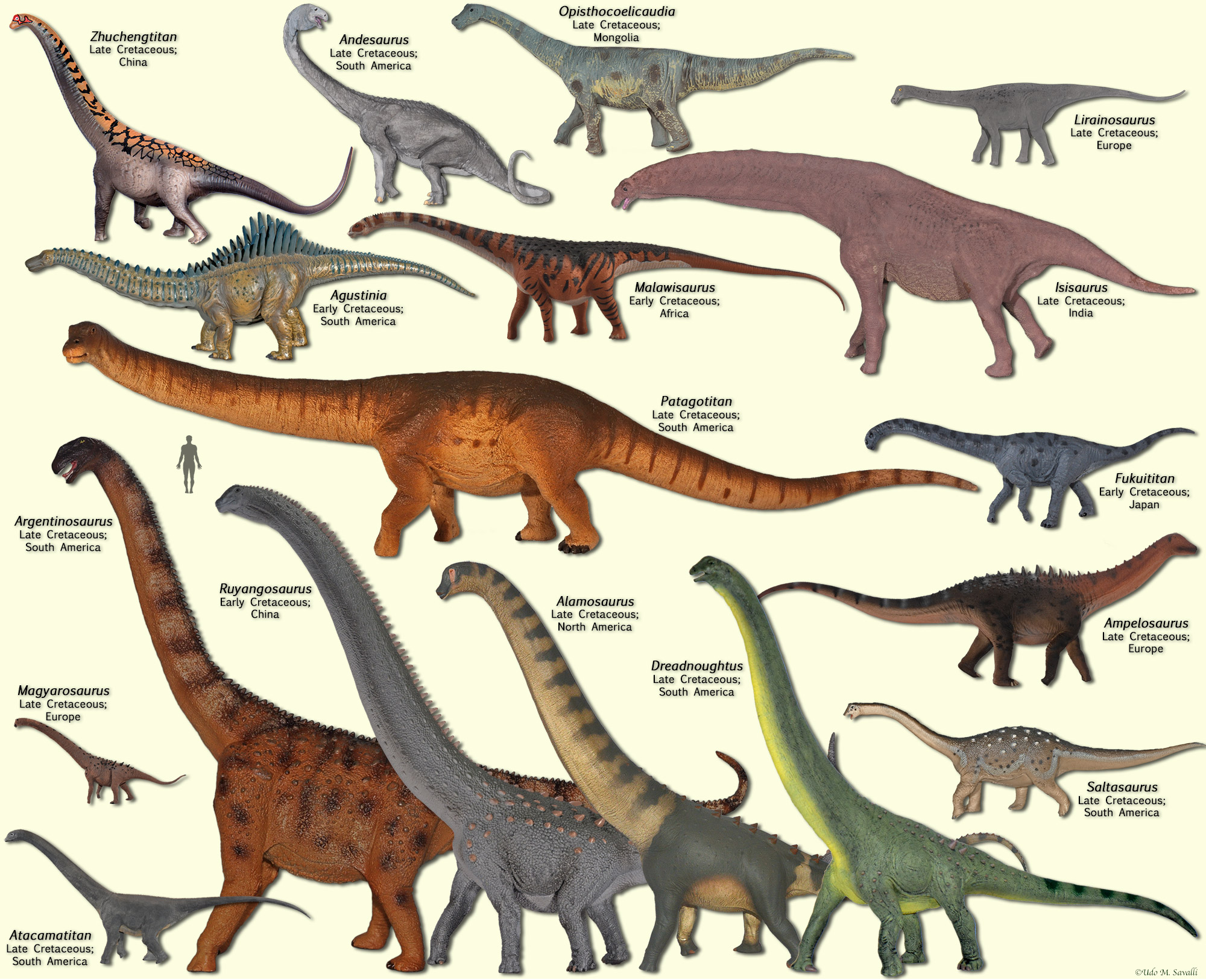 BIO Sauropodomorphs