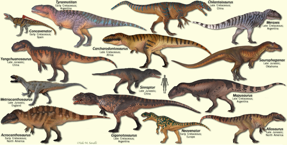 top 10 carnivorous dinosaurs