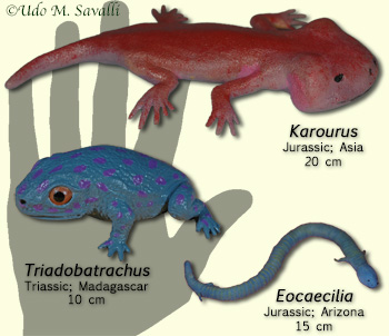 Extinct Lissamphibian models