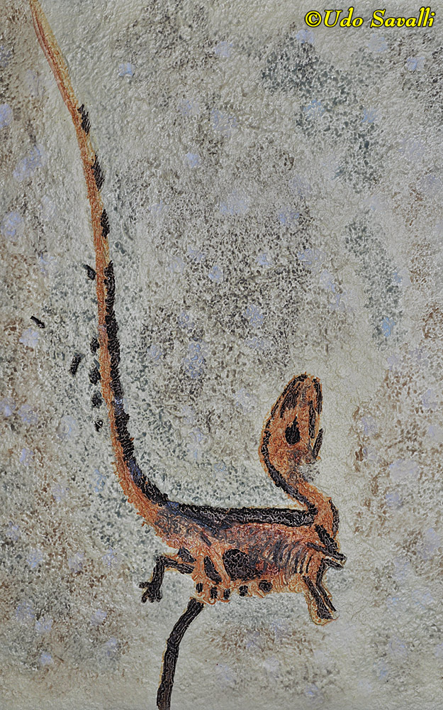 Sinosauropteryx Fossil