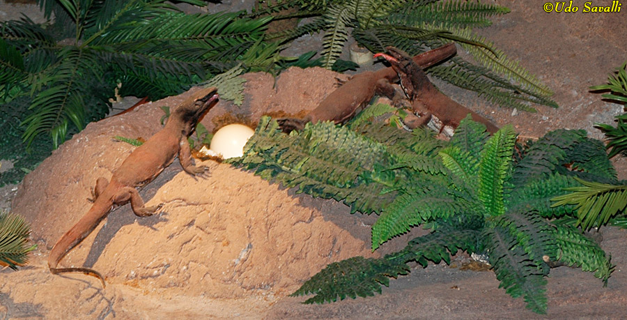 Paleosaniwa Model