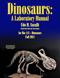 Lab Manual Cover