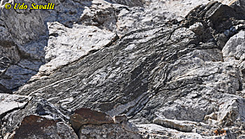 gneiss  in situ