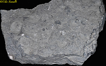 limestone