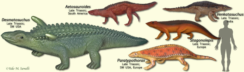 Aetosaurs