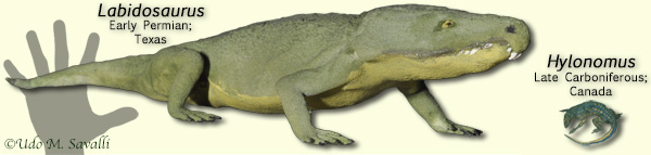 stem reptiles