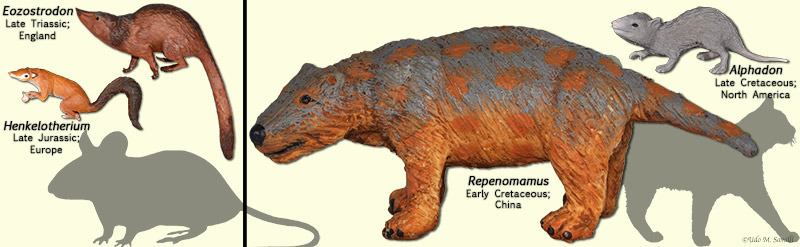 Mesozoic mammals