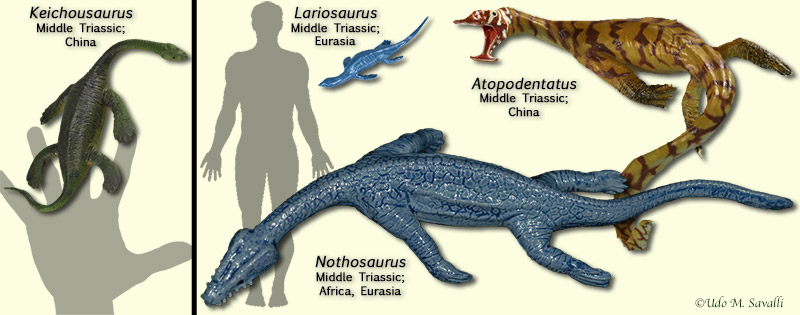 nothosaur