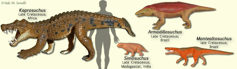 Notosuchians