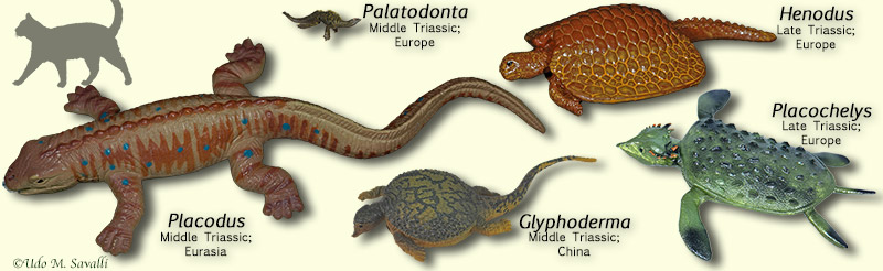 placodonts