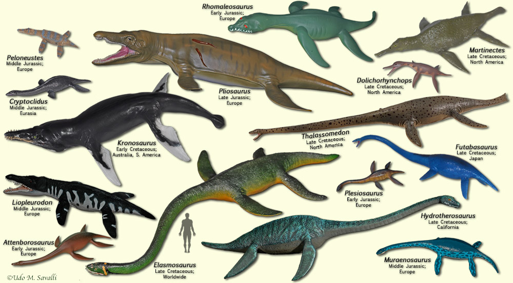 Plesiosaurs