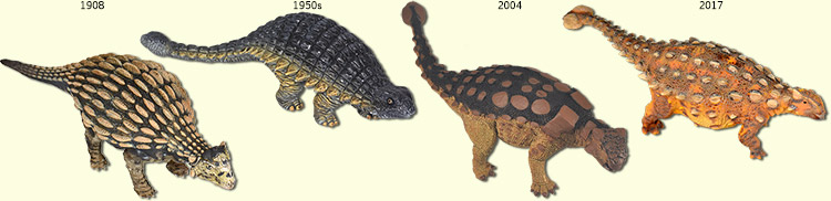 changes in Ankylosaurus