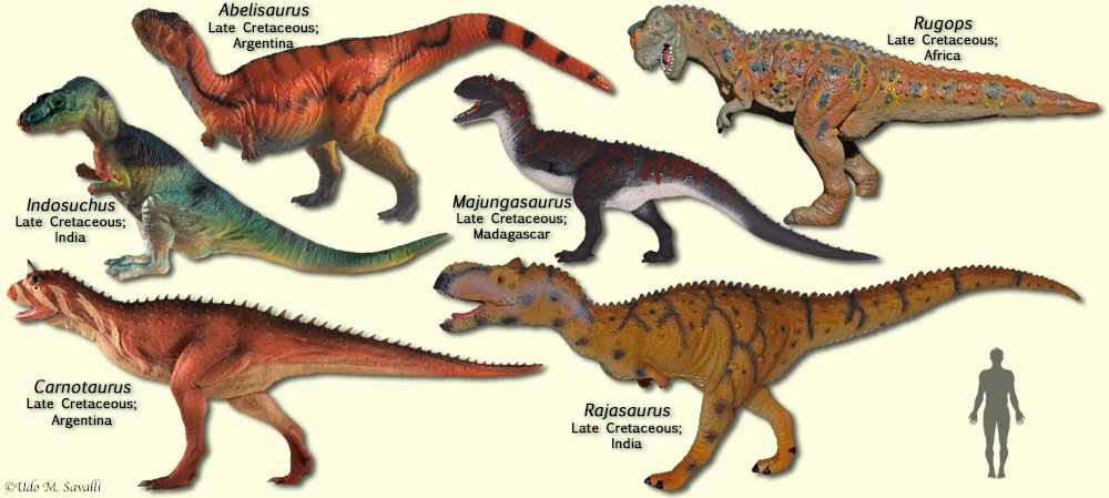 carnivore dinosaur with 2 horns