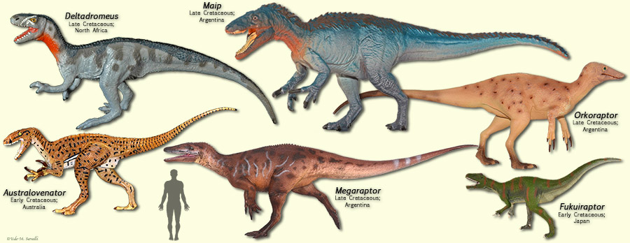 Megaraptors