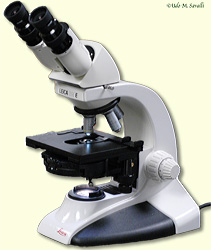 microscope