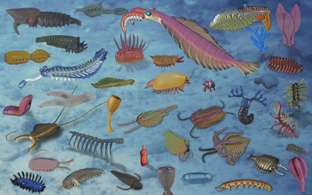 Cambrian scene