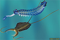 Opabinia