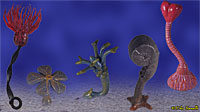 Crinoid Models