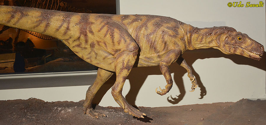 Herrerasaurus model