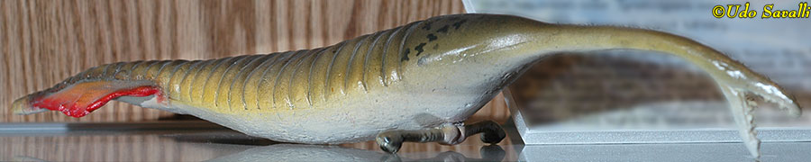 Tully Monster model